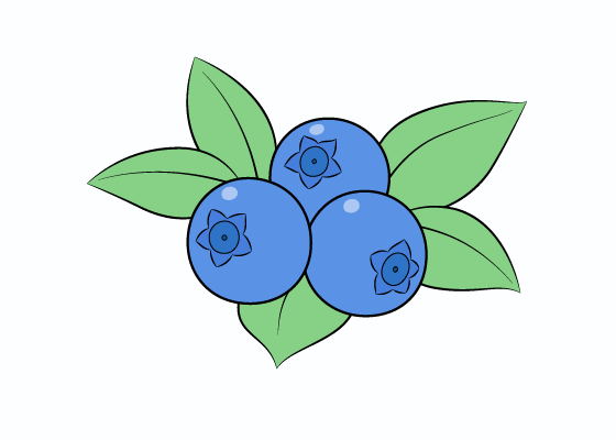 Blueberries drawing tutorial