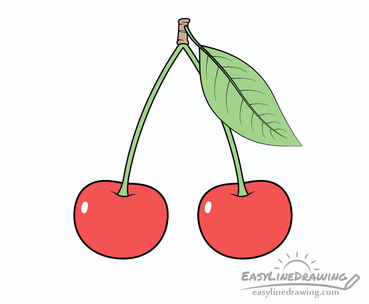 Cherries drawing