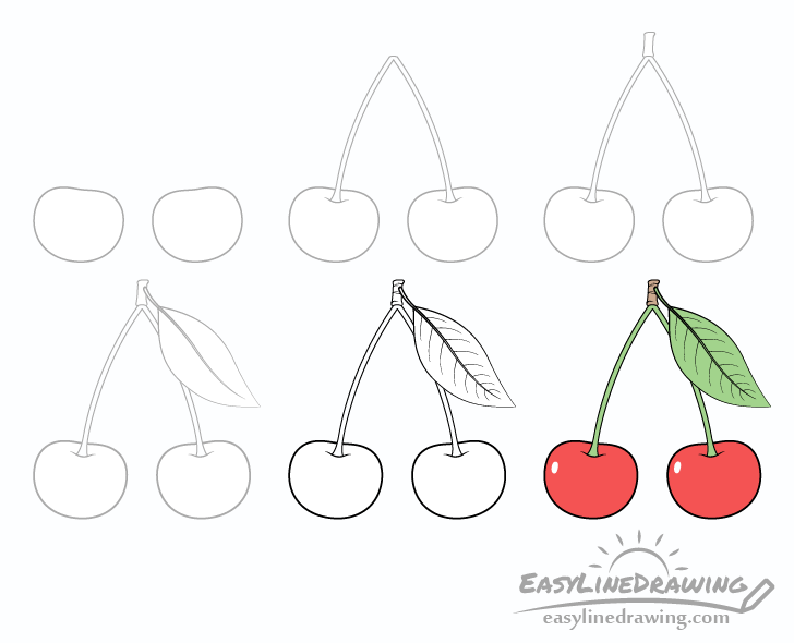 Cherries drawing step by step