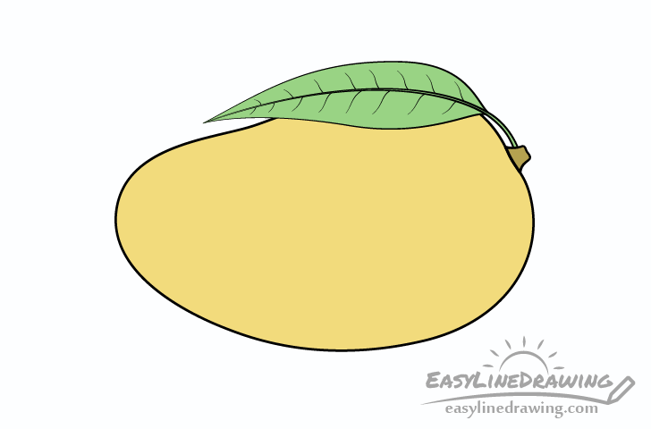 Mango color drawing