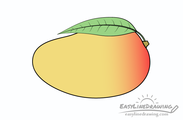 mango gradient drawing - Hướng dẫn phương pháp vẽ ngược xoài giản dị với 6 bước cơ phiên bản cho tới bé xíu tô màu