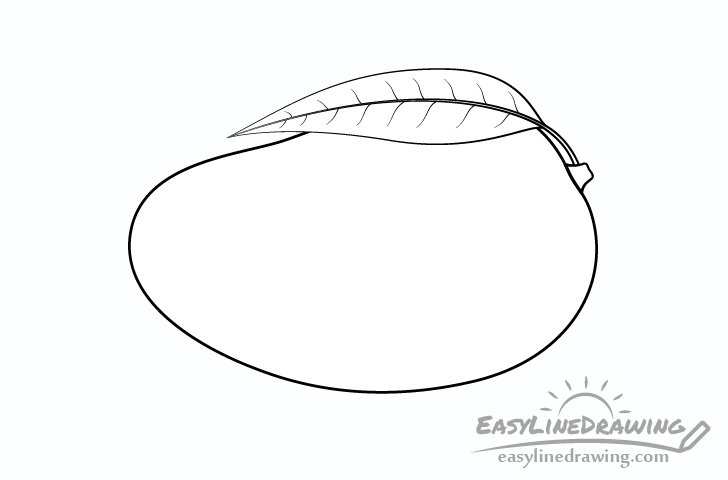 mango line drawing - Hướng dẫn phương pháp vẽ ngược xoài giản dị với 6 bước cơ phiên bản cho tới bé xíu tô màu