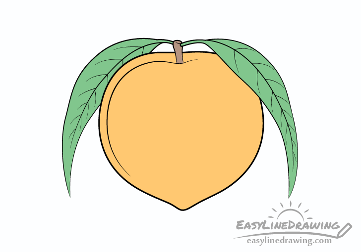 Peach basic color drawing