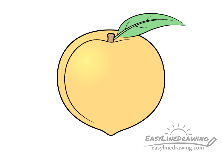 Peach basic color drawing