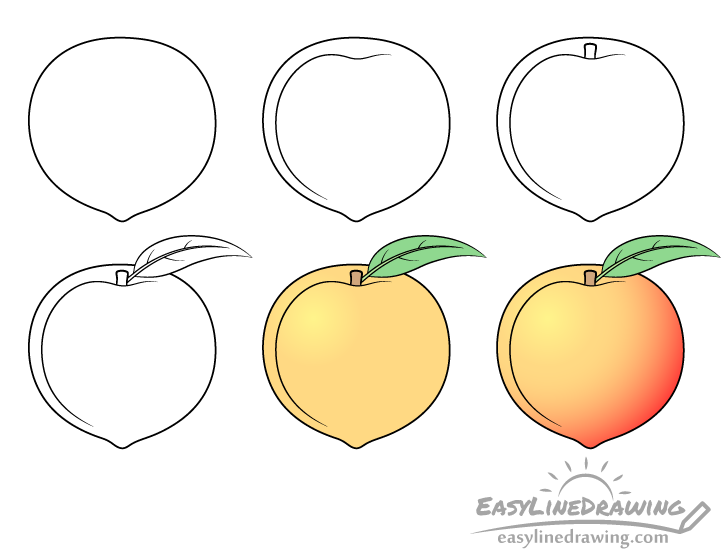 Peach drawing step by step