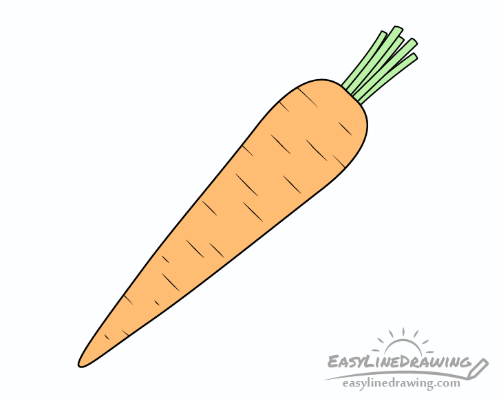 Carrot drawing