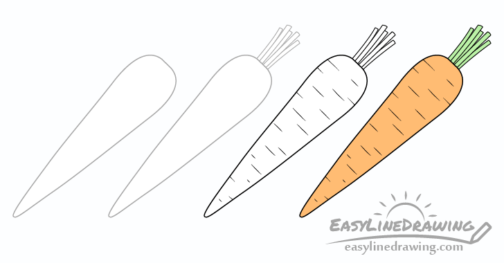 How to Draw a Carrot Step by Step - EasyLineDrawing