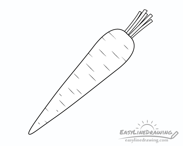 Carrot line drawing