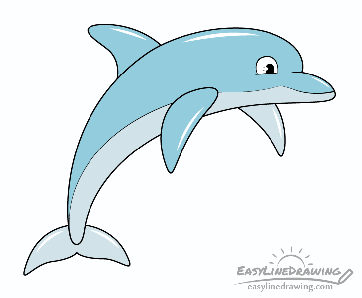 Dolphin drawing