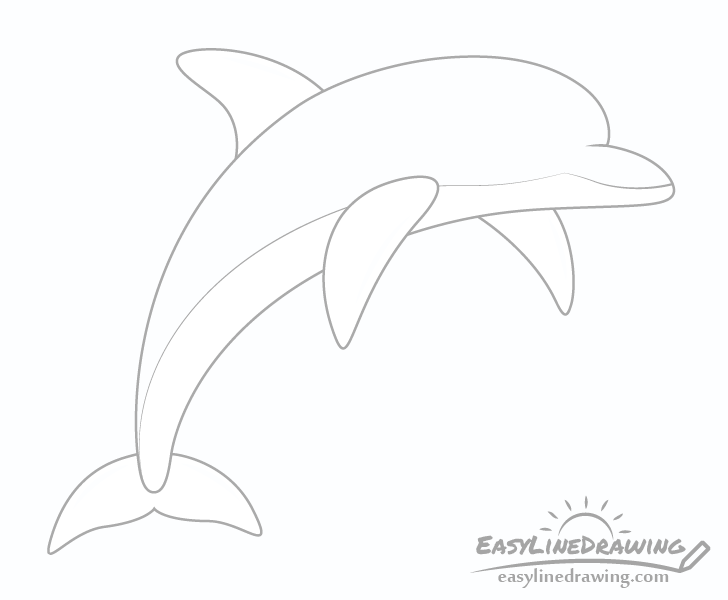 Dolphin top bottom splits drawing