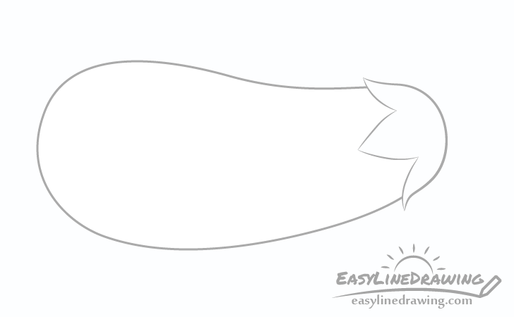 Eggplant calyx drawing