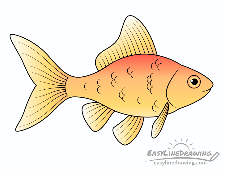Goldfish drawing