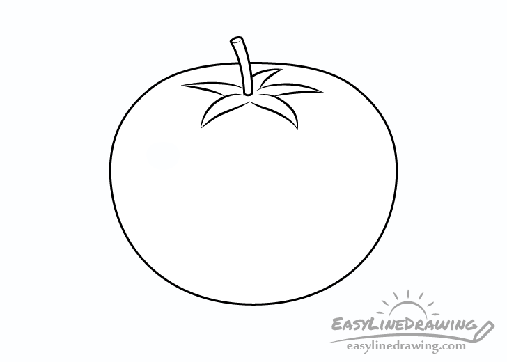 Tomato line drawing