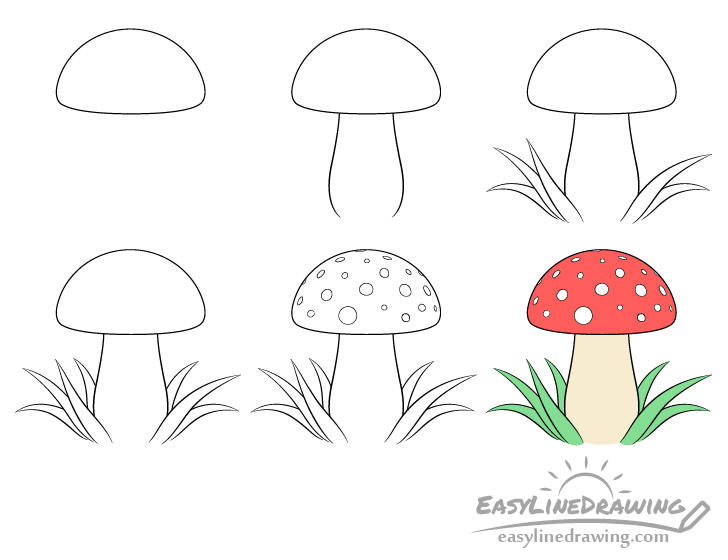 Mushroom drawing step by step