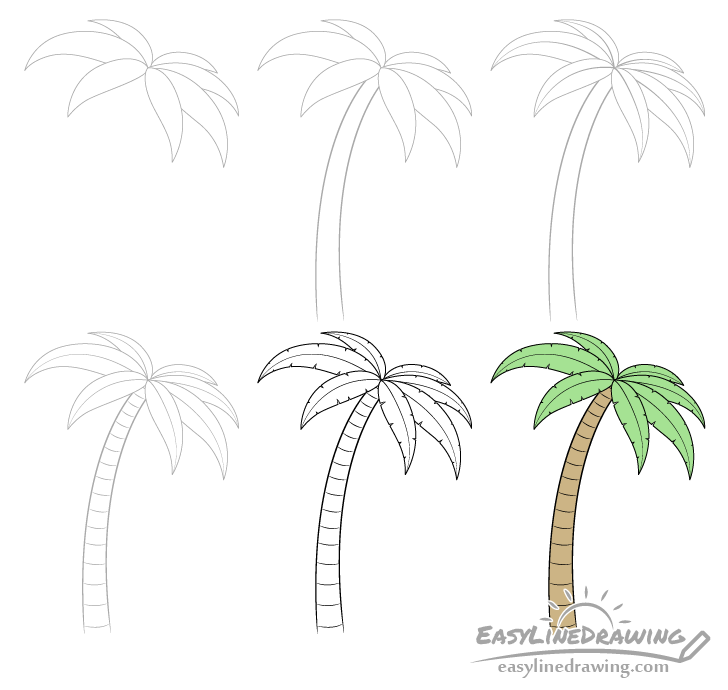 How To Draw A Palm Tree Step By Step  Palm Tree Drawing Easy  YouTube