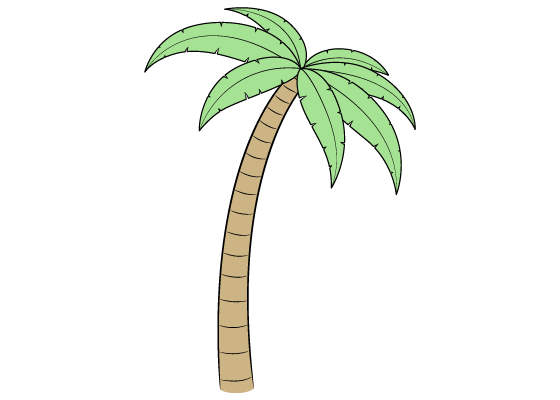 Palm tree drawing tutorial