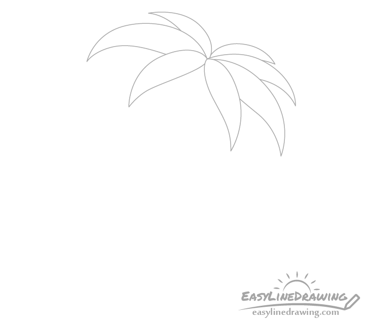 Palm tree leaves drawing