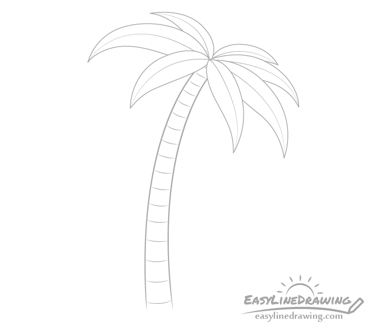 Palm tree trunk stripes drawing