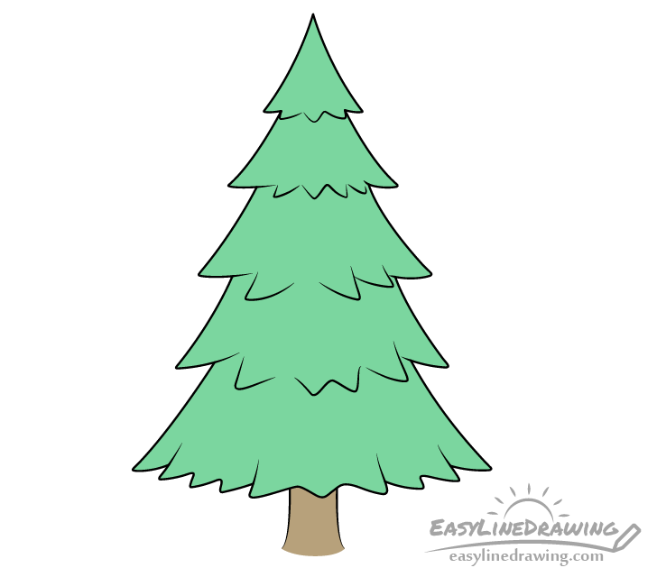 Pine tree drawing