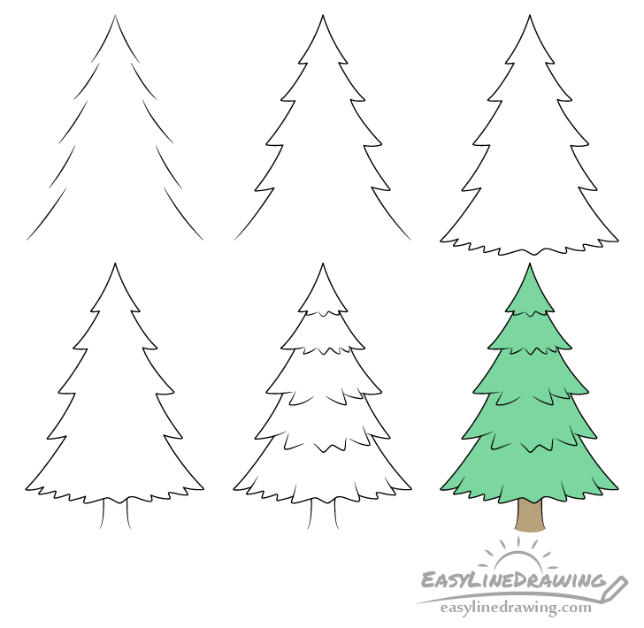 How To Draw Pine Tree  Very Simple  YouTube