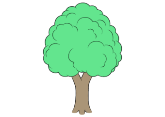 How to Draw a Tree Step by Step