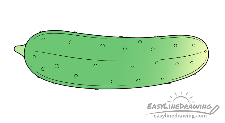 Cucumber drawing