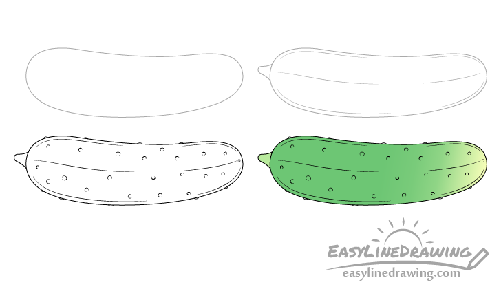 Cucumber drawing step by step