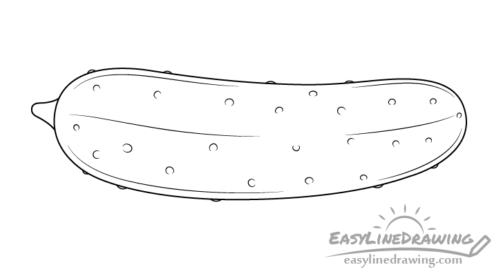 Cucumber line drawing