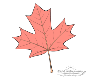 How to Draw a Maple Leaf Step by Step - EasyLineDrawing
