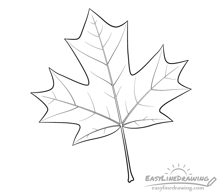 Featured image of post Maple Leaf Drawing With Colour Pencils Easy - Start the maple leaf drawing by sketching out its basic shape.