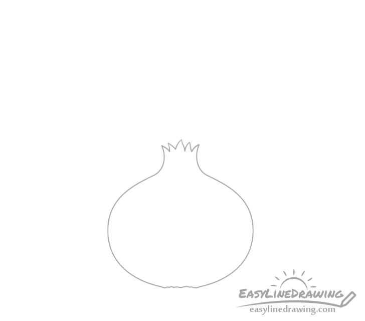 Onion bulb drawing