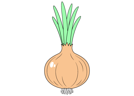 Onion drawing tutorial