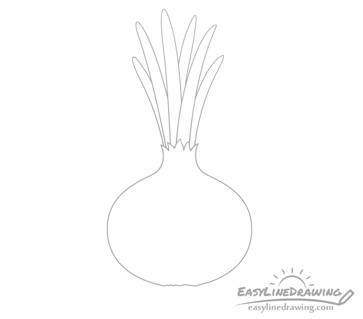 Onion leaves drawing