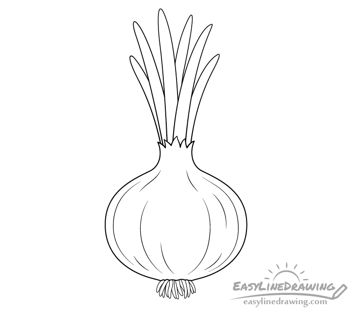 Bulb Onions. Vector. Outline Drawing of a Vegetable on a White Background.  Sketch. Drawing Marker on Paper. Isolated Object Stock Illustration -  Illustration of hand, isolated: 166769127