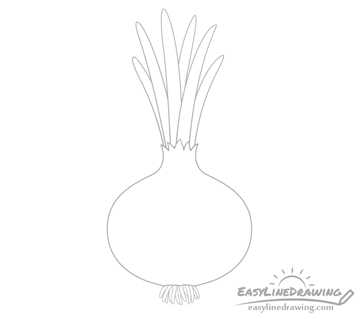 Onion outline drawing