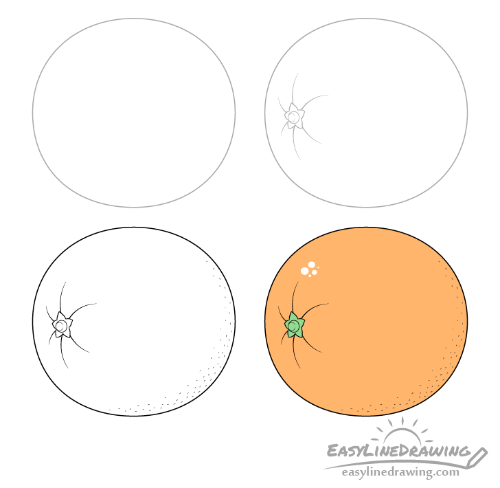 How to Draw an Orange Step by Step  EasyLineDrawing