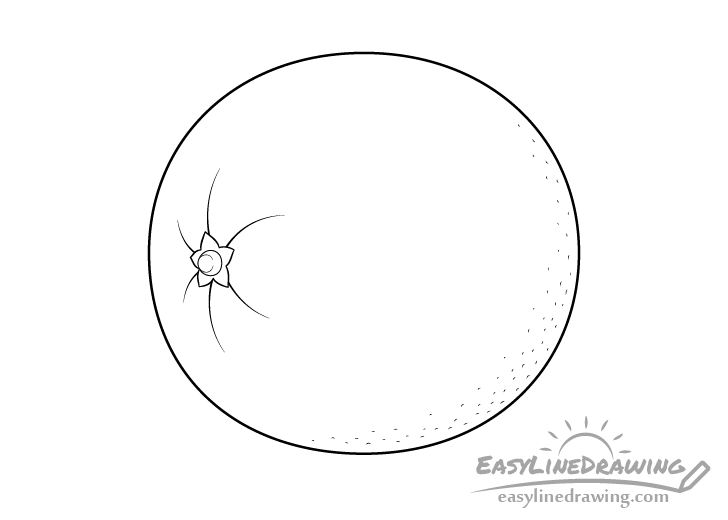 Orange Drawing  How To Draw An Orange Step By Step