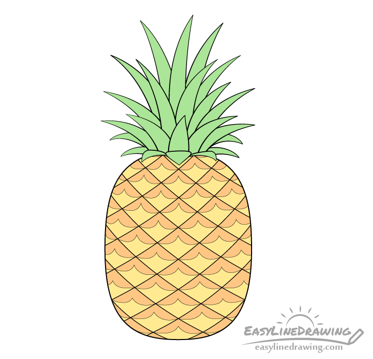 Pineapple drawing