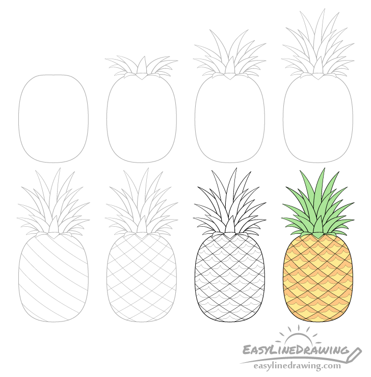 Pineapple drawing step by step