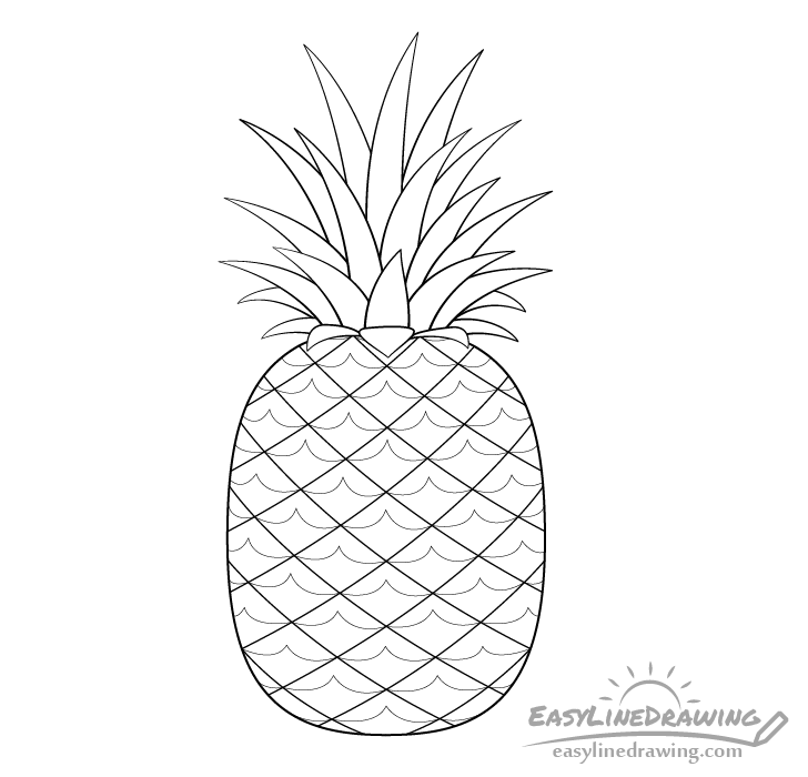Pineapple line drawing