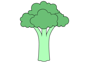 broccoli drawing tutorial
