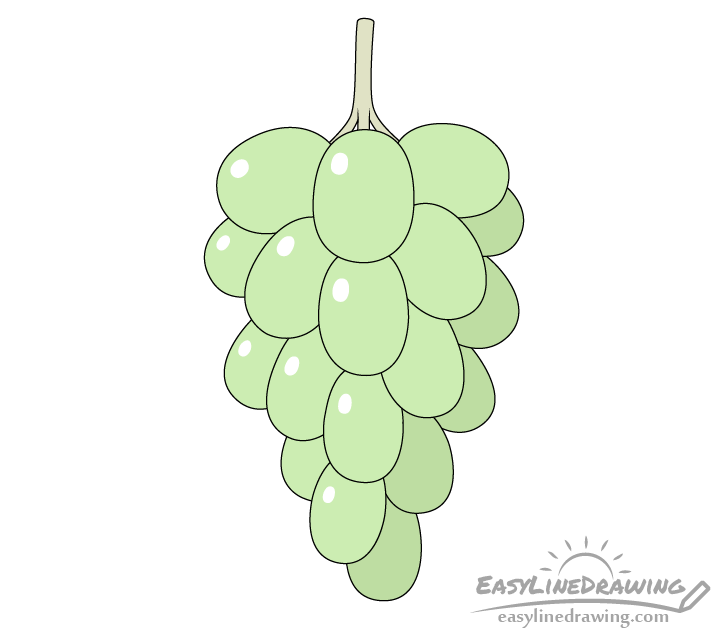 grapes drawing - Hướng dẫn cách vẽ qua nho đơn giản ấn tượng