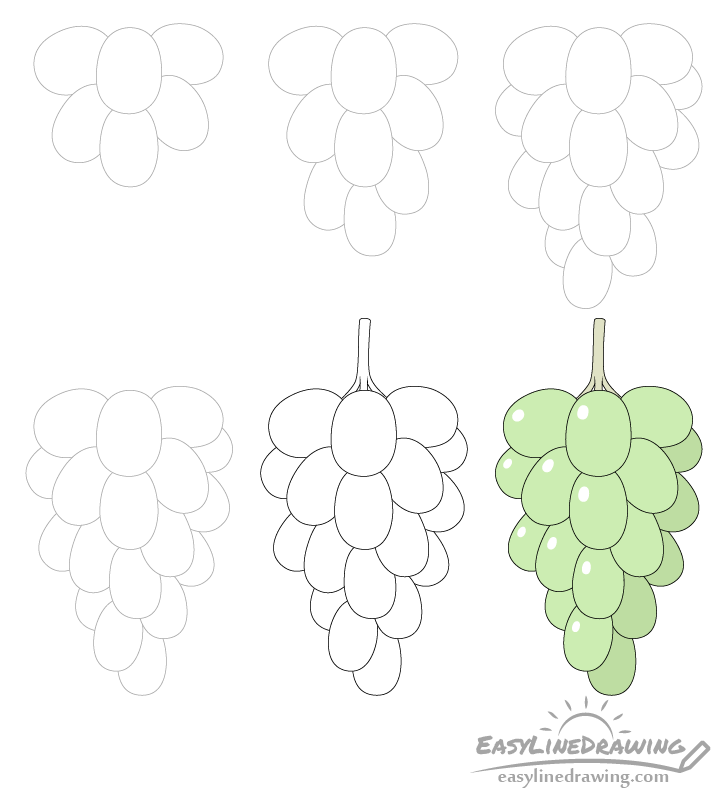 Grapes drawing step by step