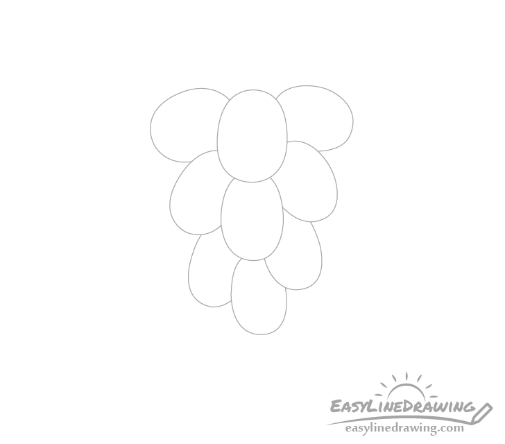 Grapes middle drawing