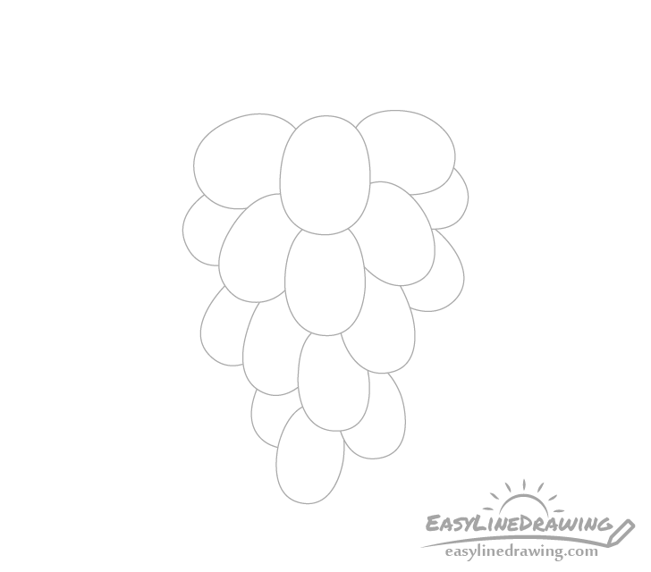 Grapes outer drawing