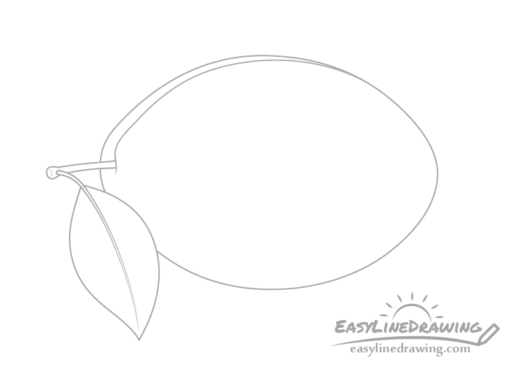 plum leaf drawing - Hướng dẫn cách Vẽ quả mận đơn giản với 6 bước cơ bản