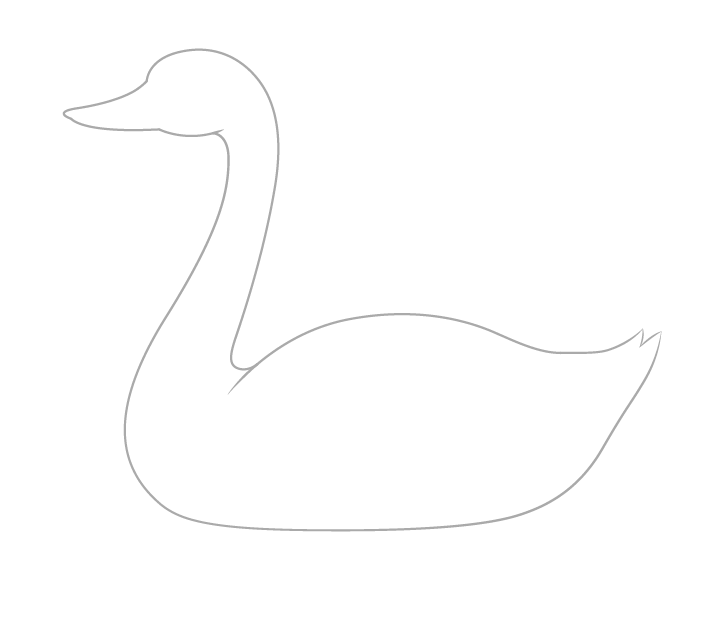 Swan body drawing