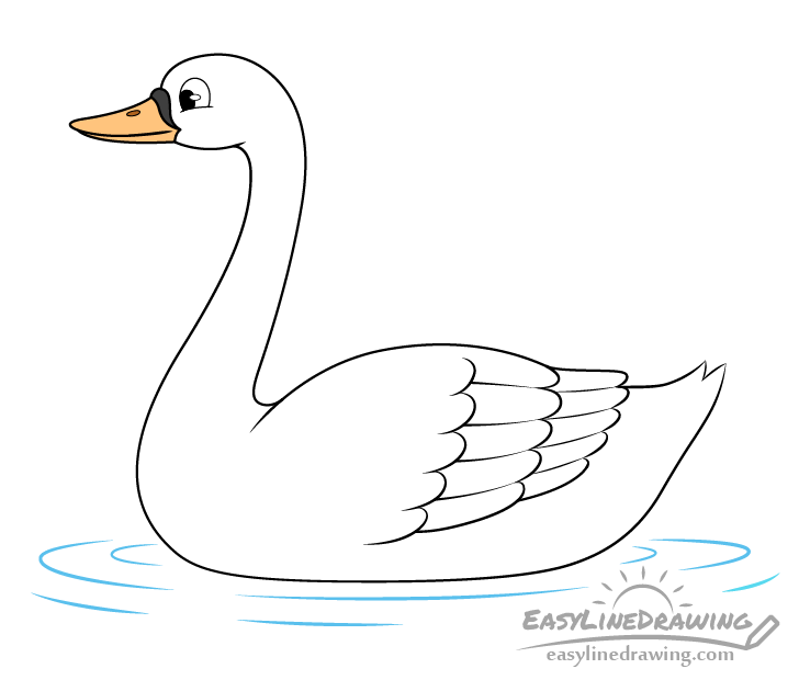 Swan drawing
