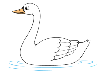 Swan drawing tutorial