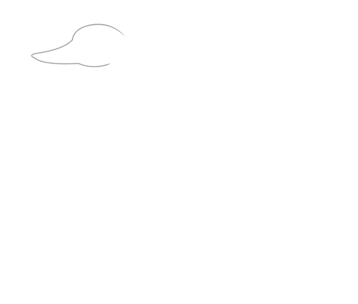 Swan head drawing